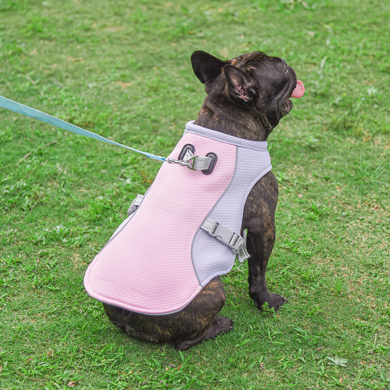 ChillPaw™ Cooling Vest