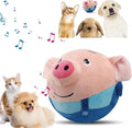 OinkBuddy™ Interactive Moving Toy