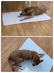 CoolPup™ Self-Cooling Mat