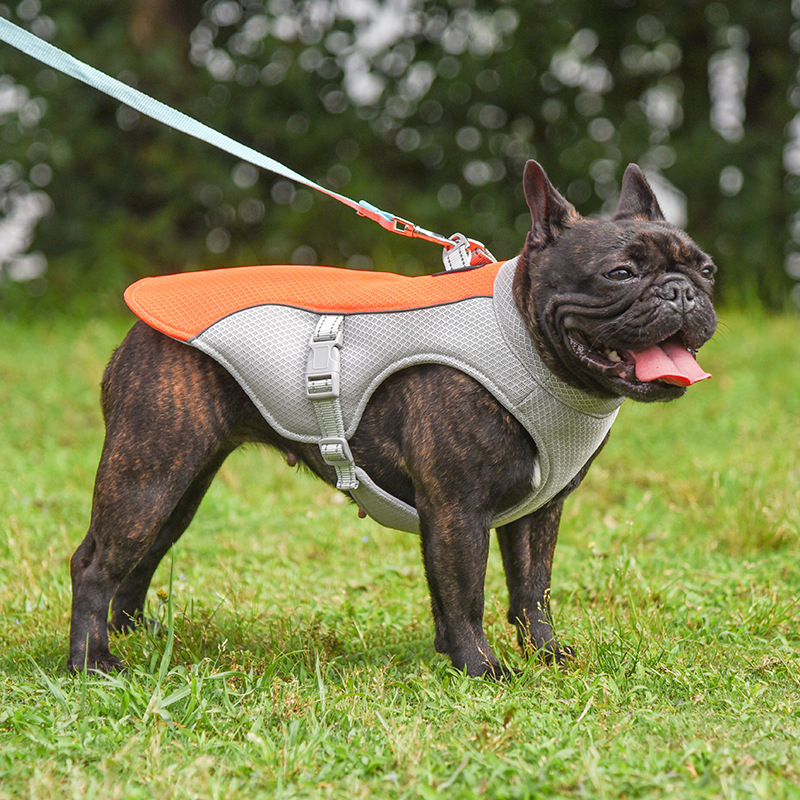ChillPaw™ Cooling Vest