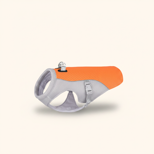 ChillPaw™ Premium Product Shot