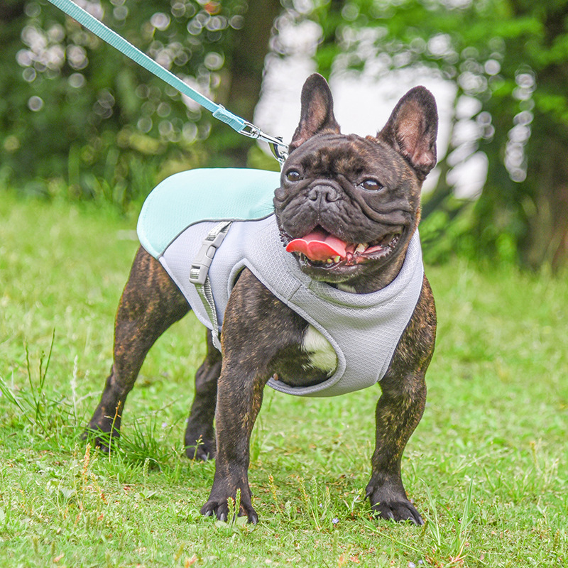 ChillPaw™ Cooling Vest