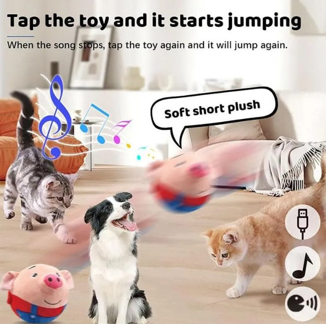 OinkBuddy™ Interactive Moving Toy