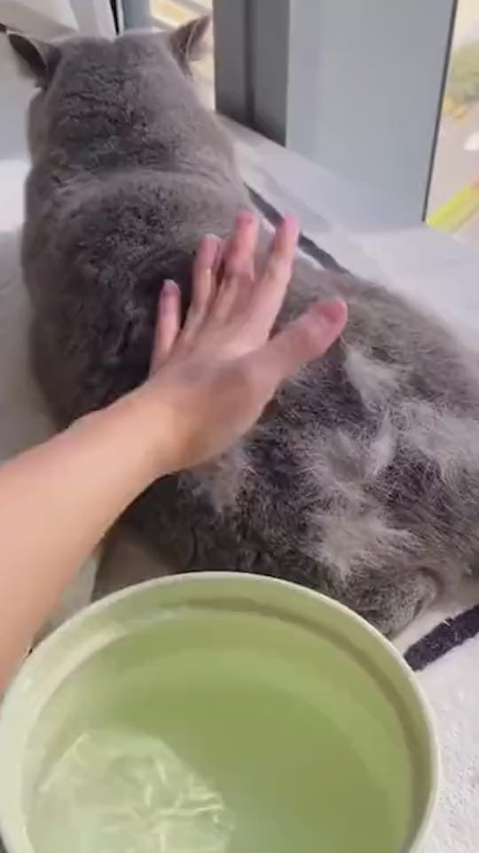 FurFlow™ Grooming Brush